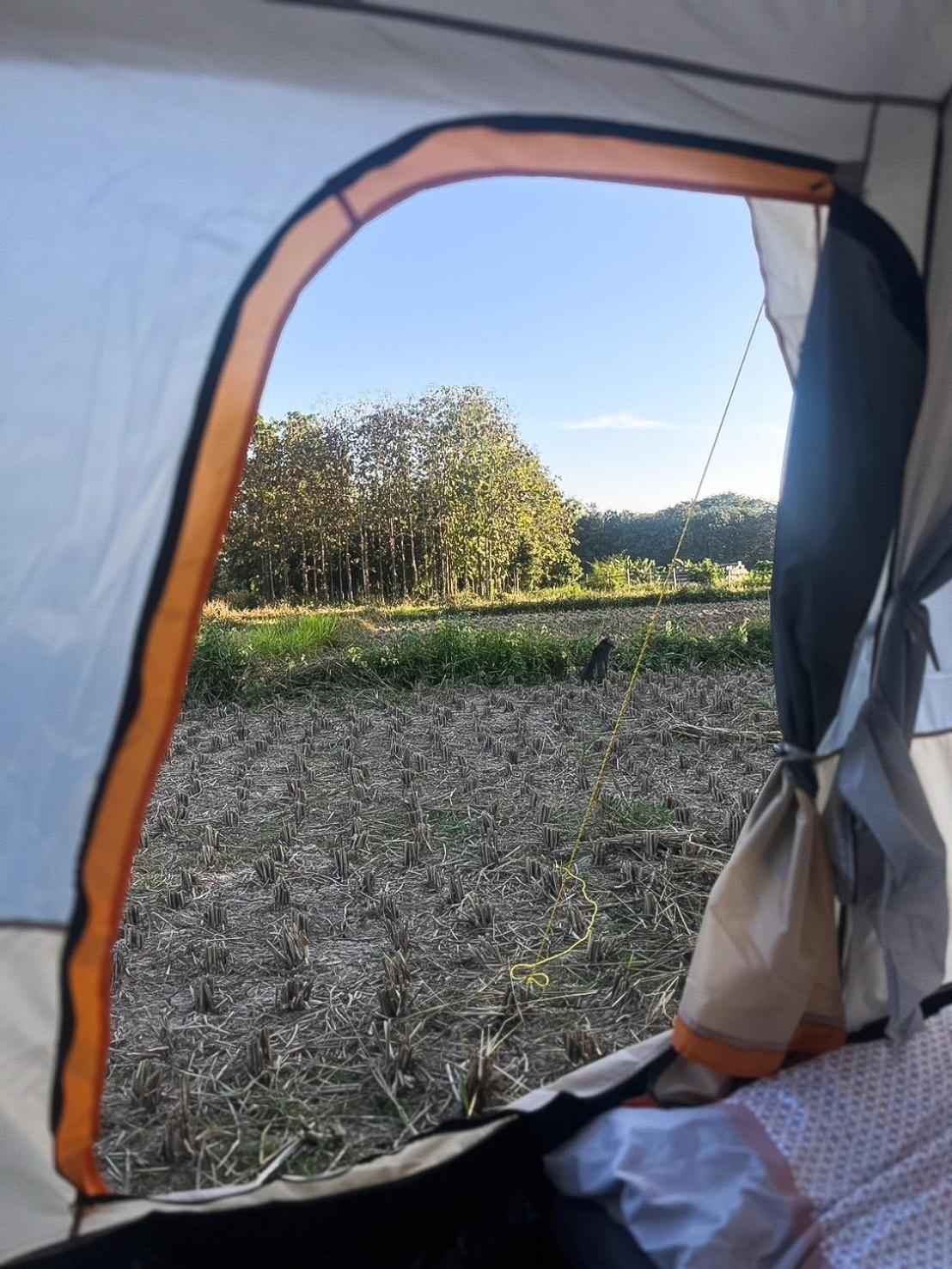 Camp View Mountain - Sell Experience By Paddy Fields Haven - Natures Nest 拜县 外观 照片